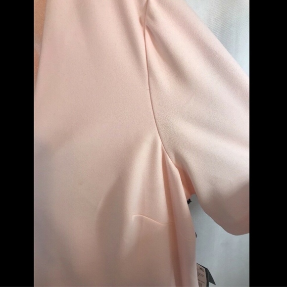 NEW Adrianna Papell Button Sleeve Shift Dress in Blush Pink [SZ 14 ]‎ - Picture 8 of 8